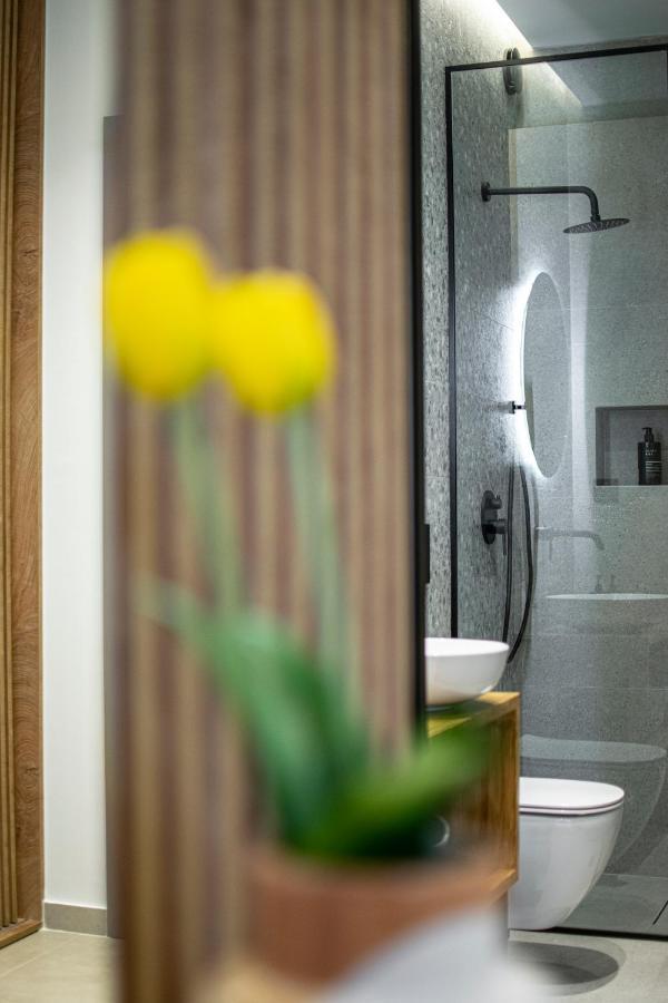 Clic - Comfort Luxury In City Of Janina Zewnętrze zdjęcie